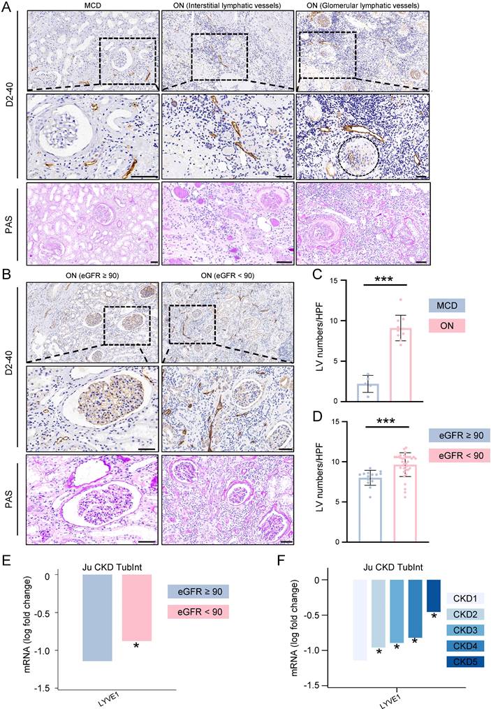 Int J Med Sci Image