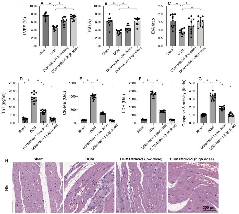 Int J Med Sci Image