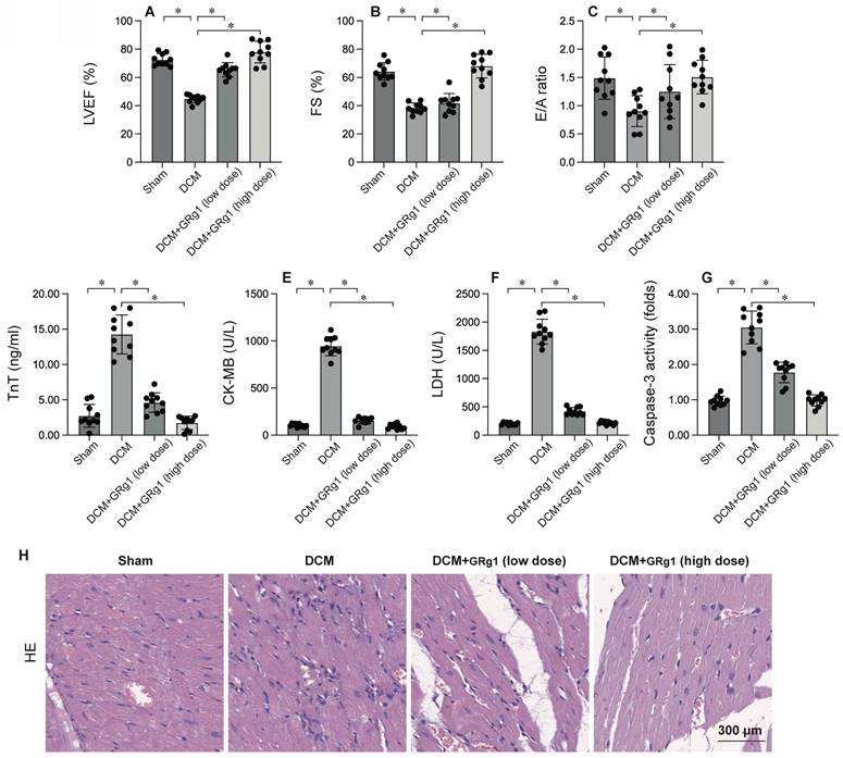 Int J Med Sci Image