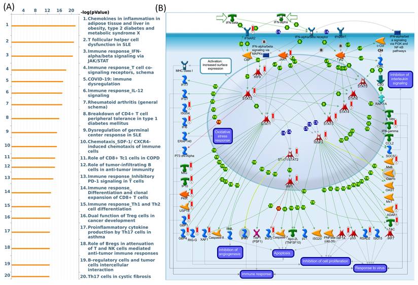 Int J Med Sci Image