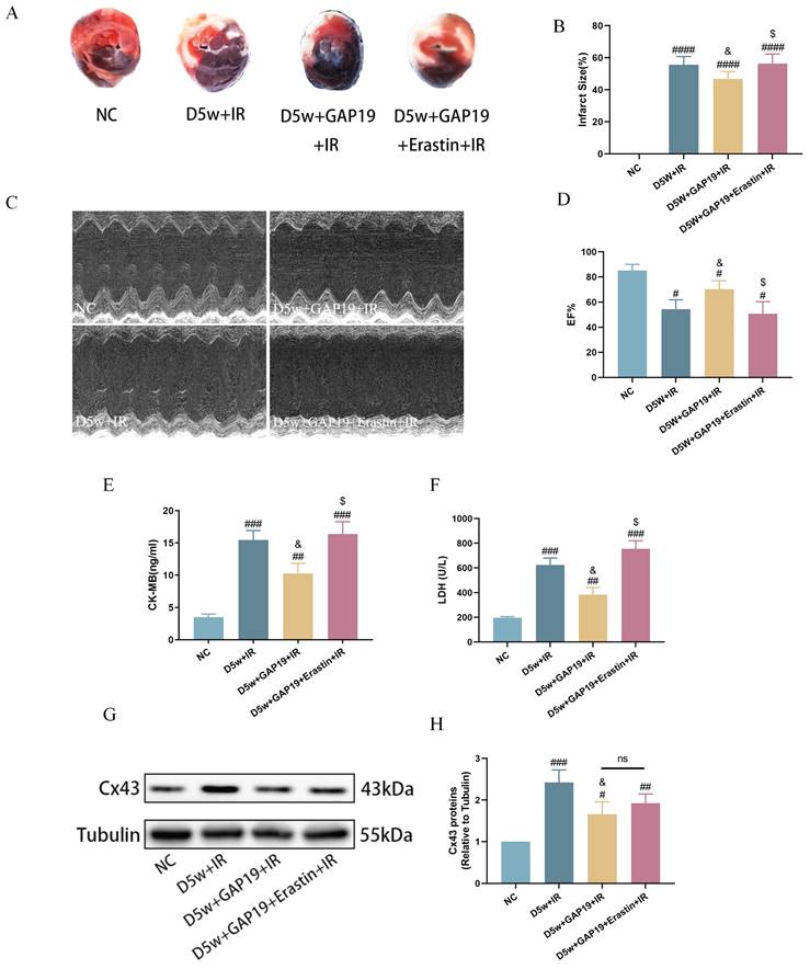 Int J Med Sci Image