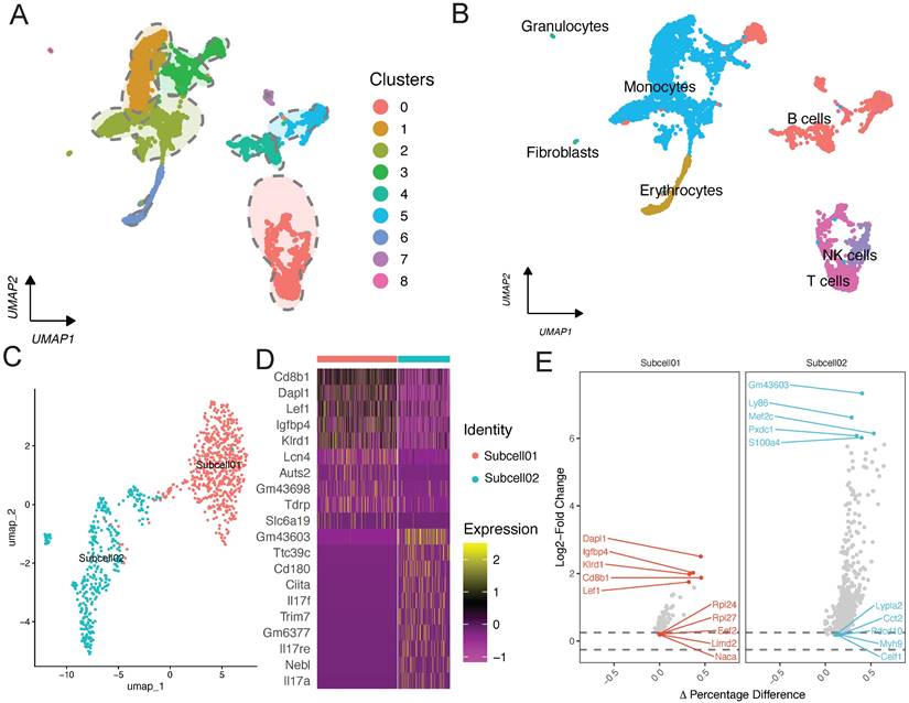 Int J Med Sci Image