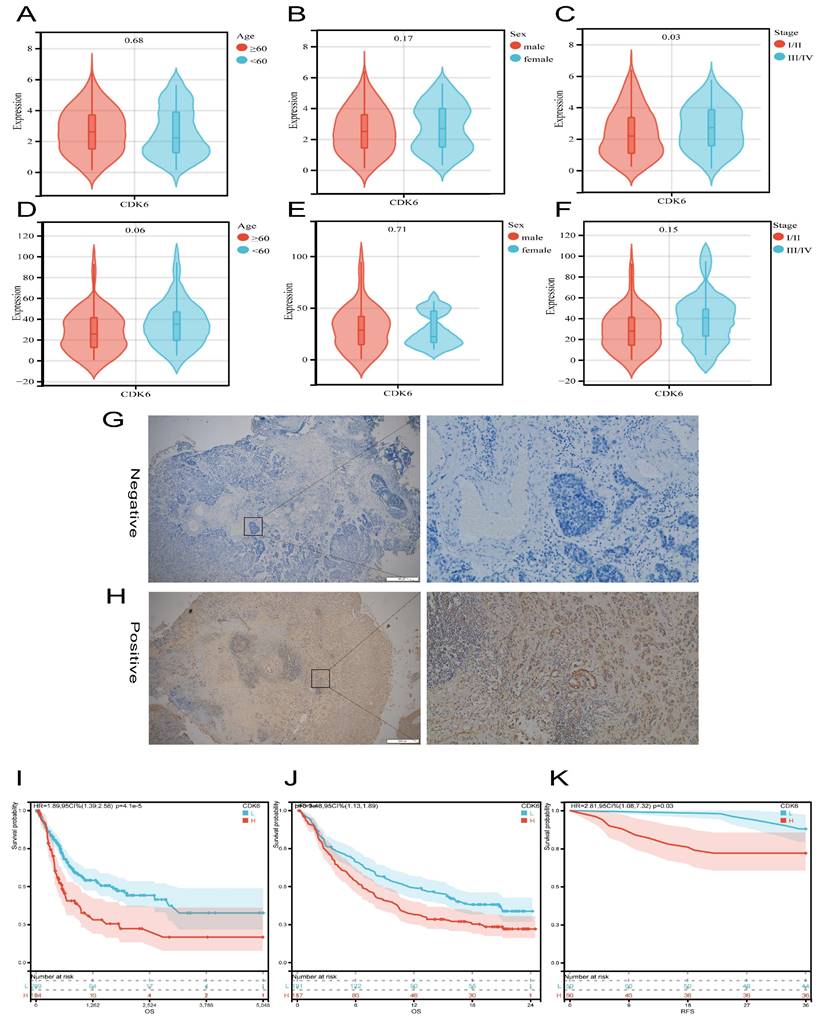 Int J Med Sci Image