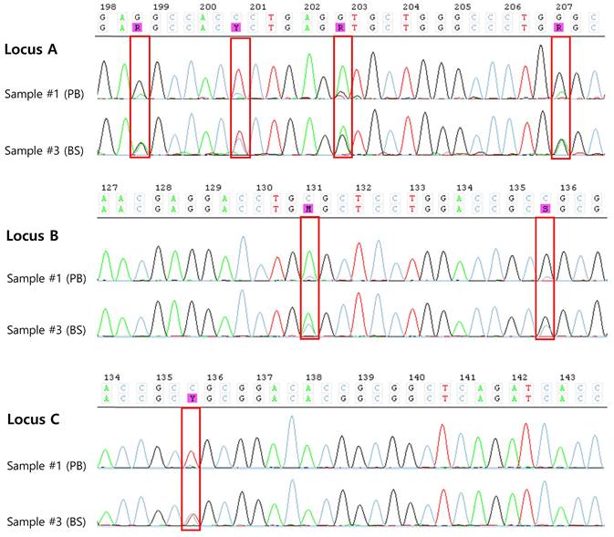 Int J Med Sci Image