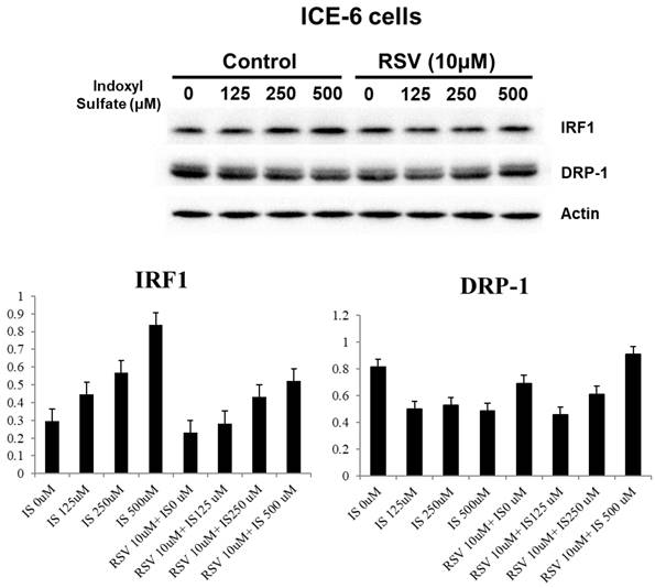 Int J Med Sci Image