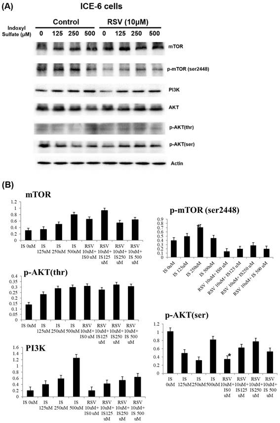 Int J Med Sci Image