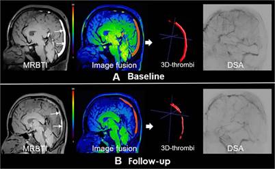 Int J Med Sci Image