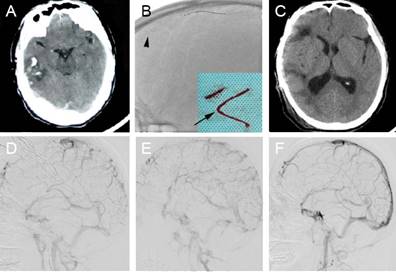 Int J Med Sci Image