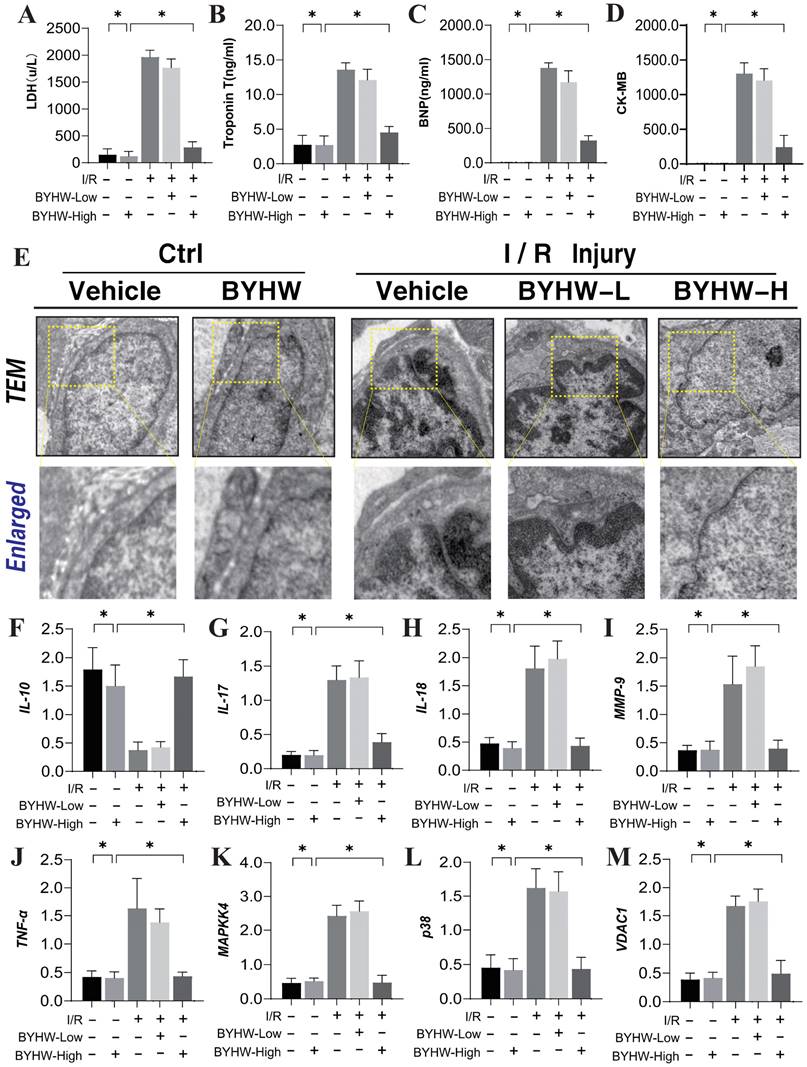 Int J Med Sci Image