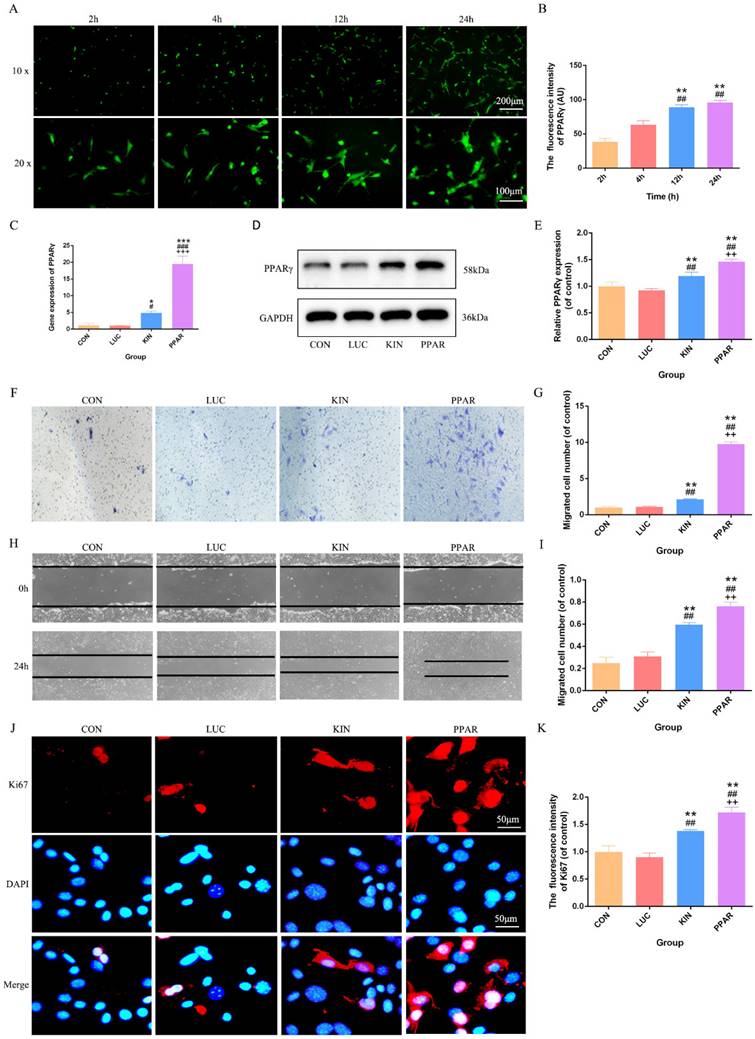 Int J Med Sci Image