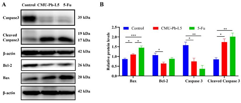 Int J Med Sci Image