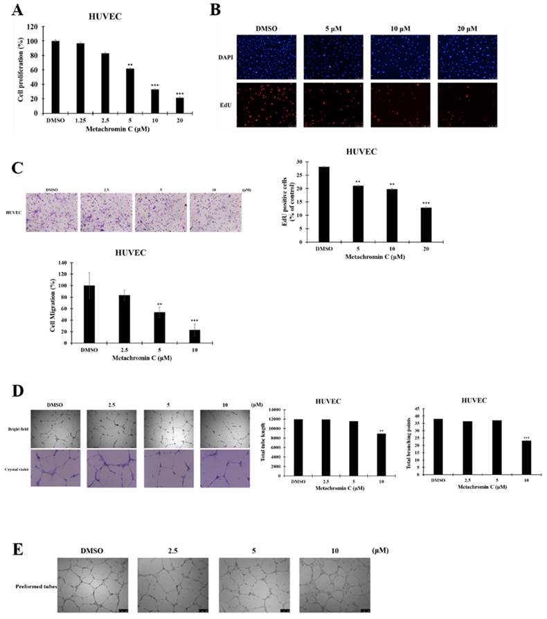 Int J Med Sci Image