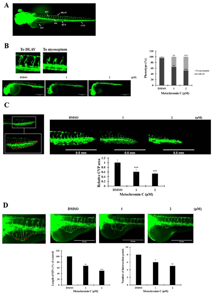 Int J Med Sci Image