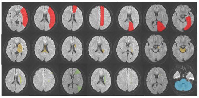 Int J Med Sci Image