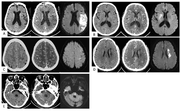 Int J Med Sci Image