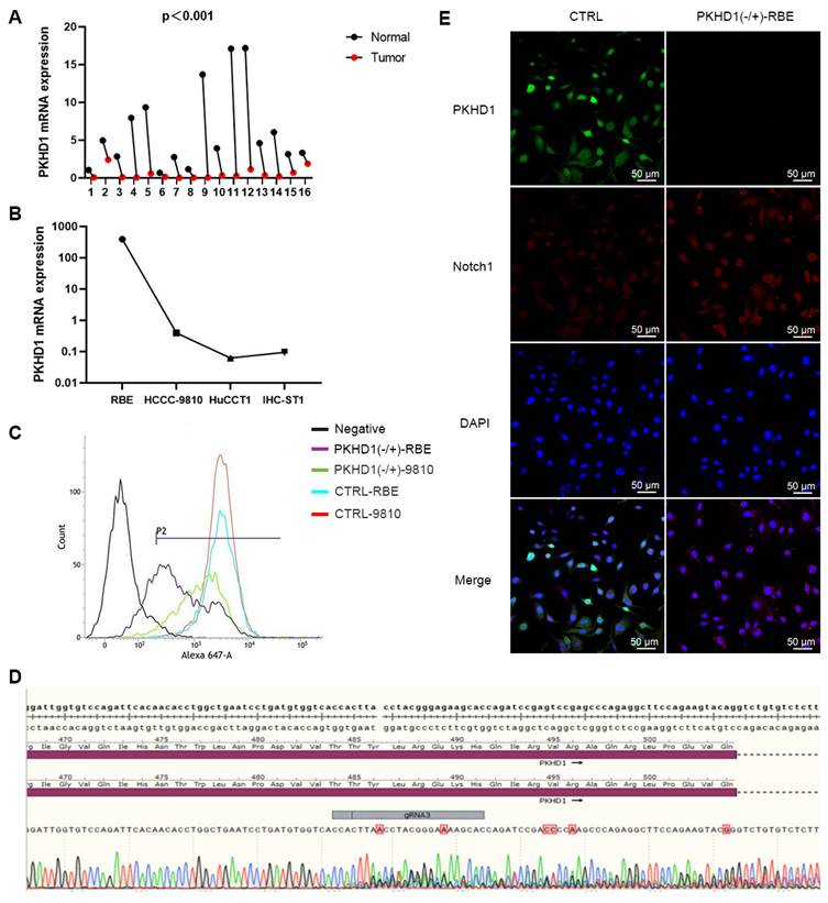 Int J Med Sci Image