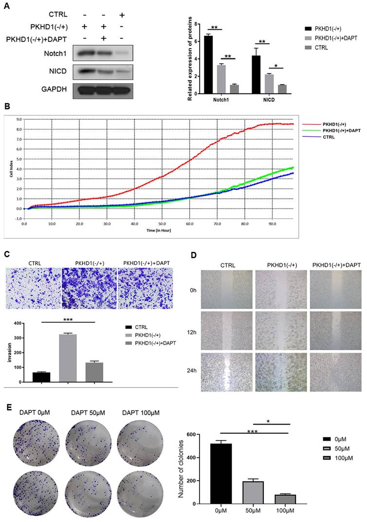 Int J Med Sci Image