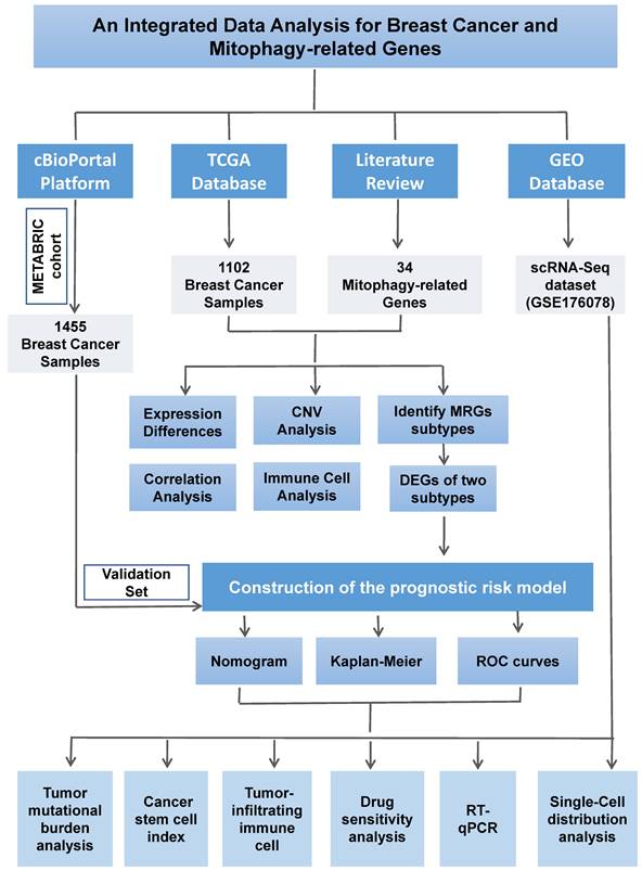 Int J Med Sci Image