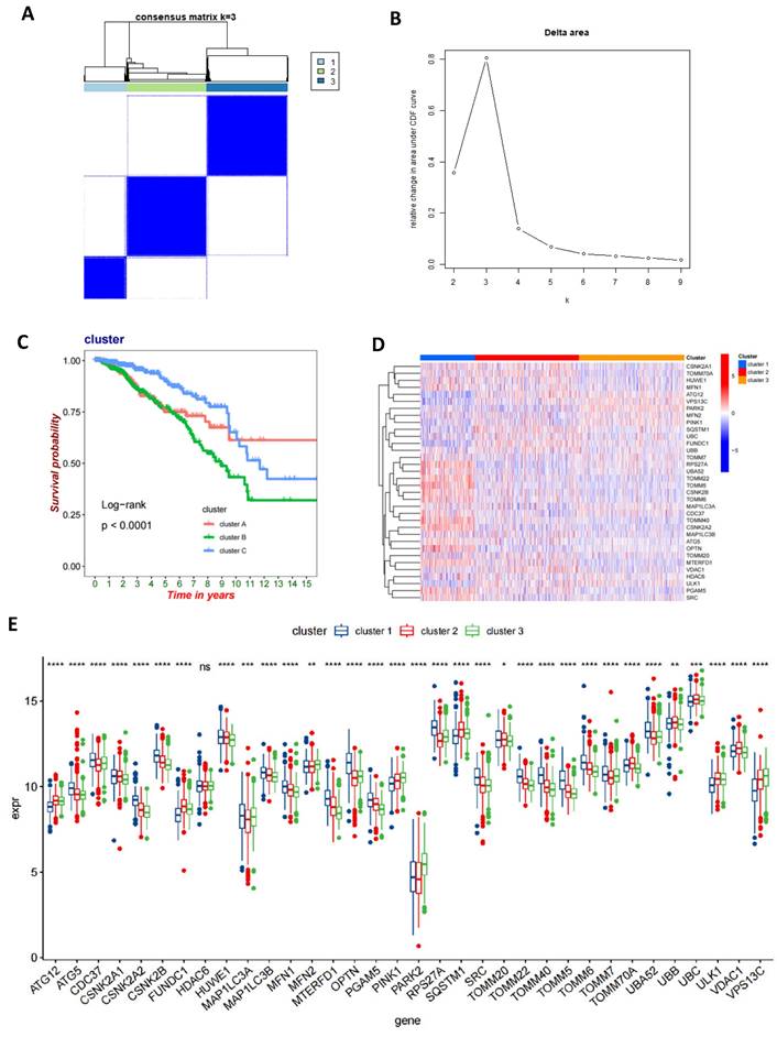 Int J Med Sci Image