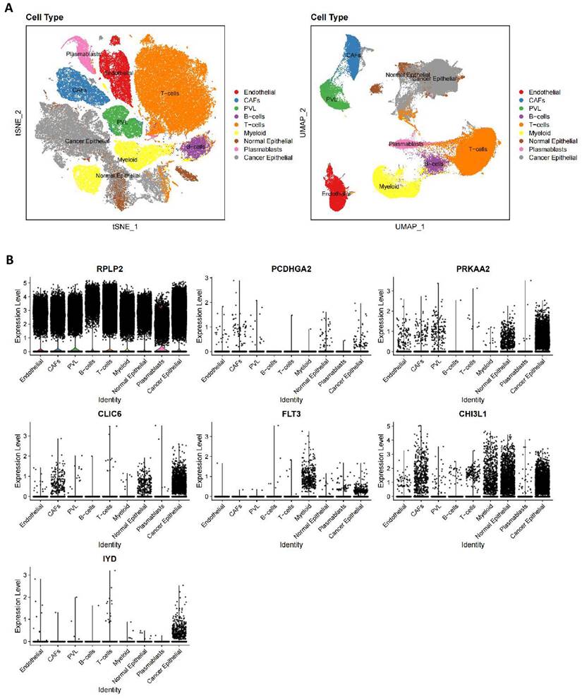 Int J Med Sci Image