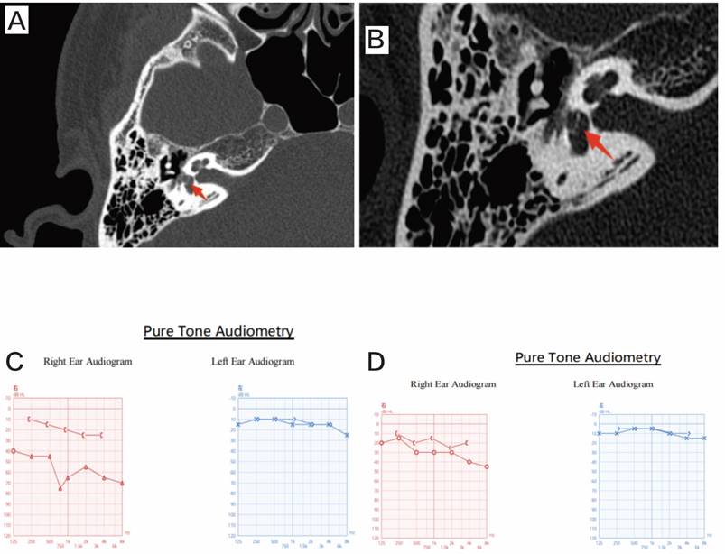 Int J Med Sci Image