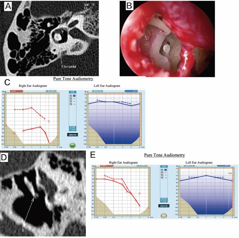 Int J Med Sci Image