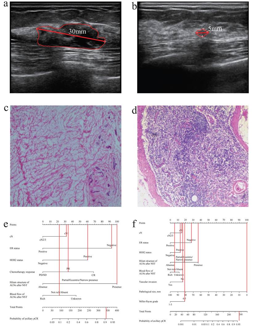 Int J Med Sci Image