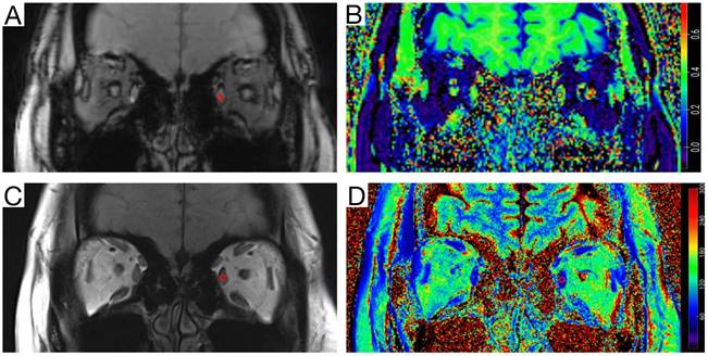 Int J Med Sci Image