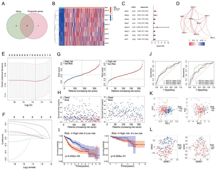 Int J Med Sci Image