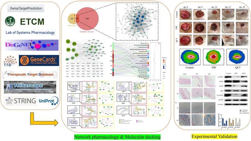 Int J Med Sci Image