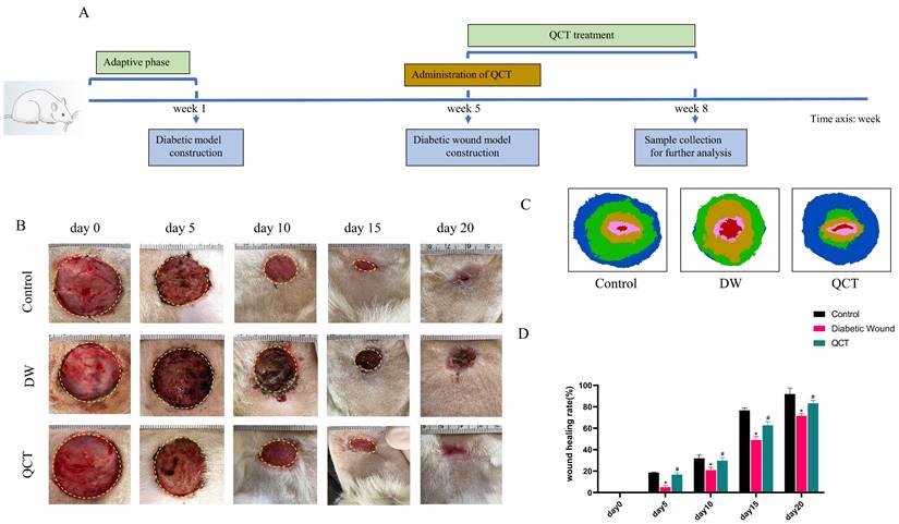 Int J Med Sci Image