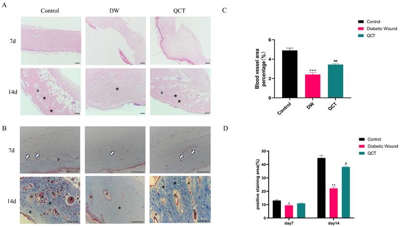 Int J Med Sci Image