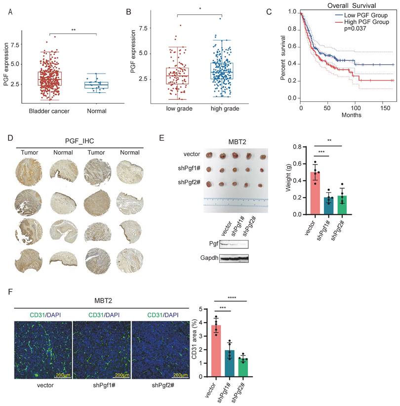 Int J Med Sci Image