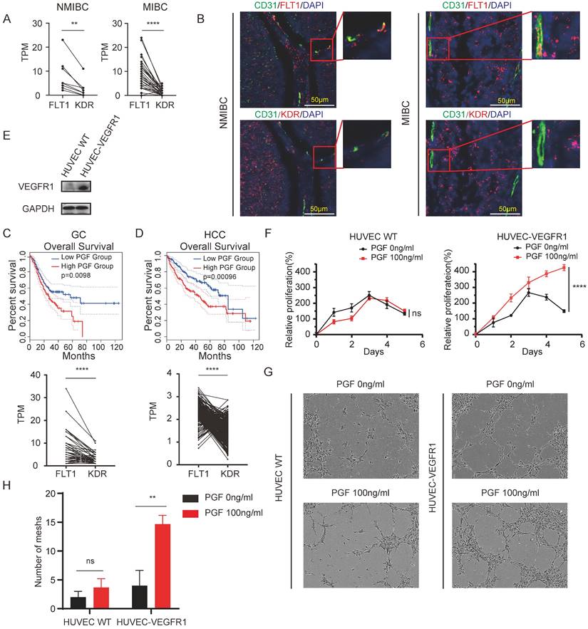 Int J Med Sci Image