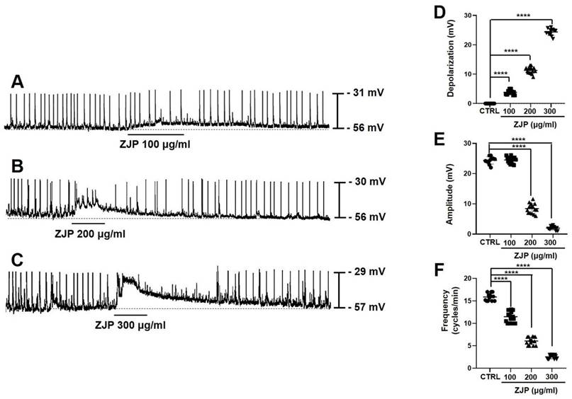 Int J Med Sci Image