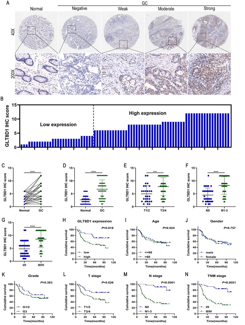 Int J Med Sci Image