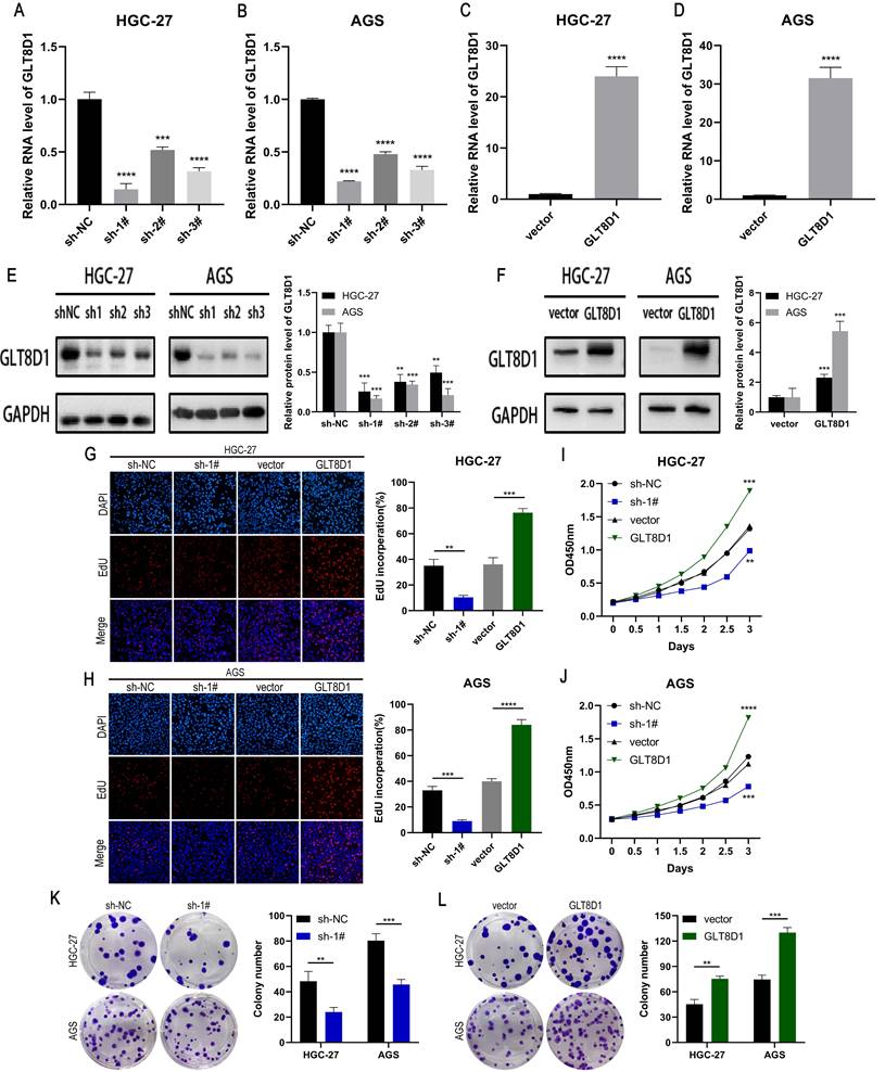 Int J Med Sci Image