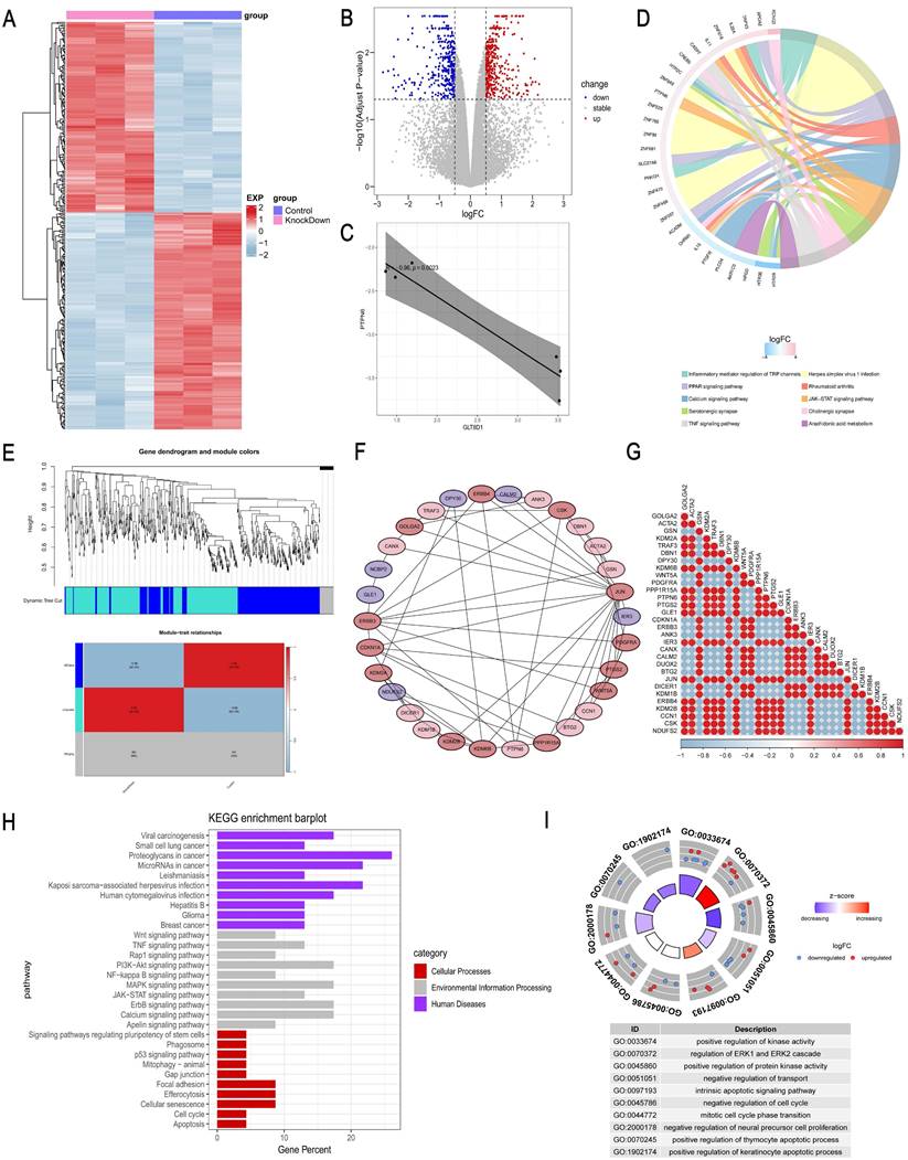 Int J Med Sci Image