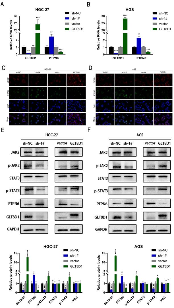 Int J Med Sci Image