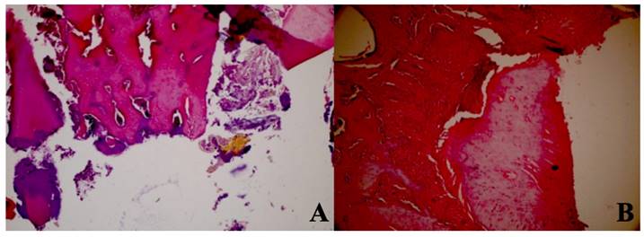 Int J Med Sci Image