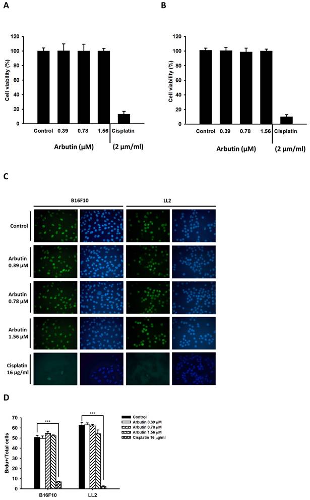 Int J Med Sci Image