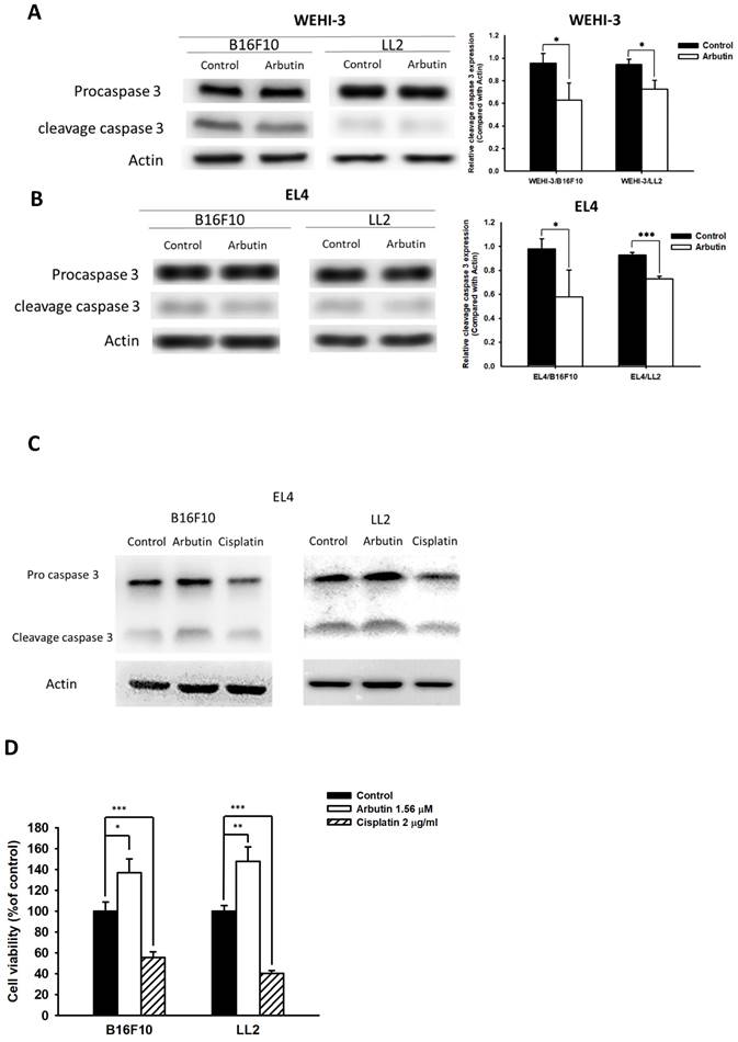 Int J Med Sci Image