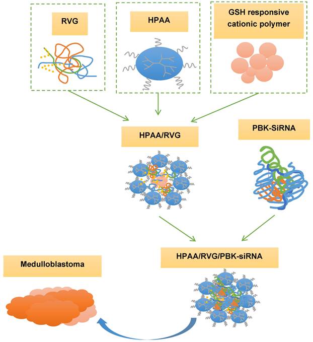 Int J Med Sci Image