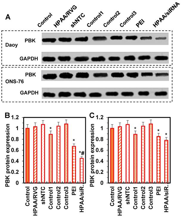 Int J Med Sci Image