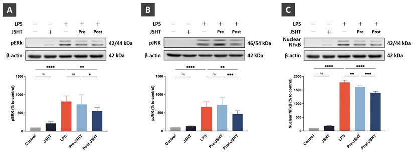 Int J Med Sci Image