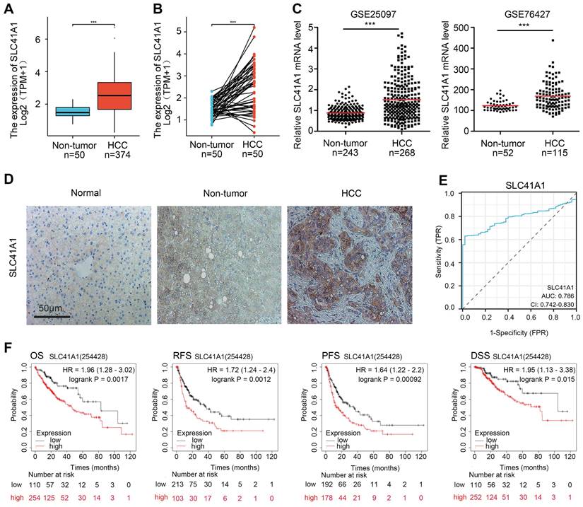 Int J Med Sci Image