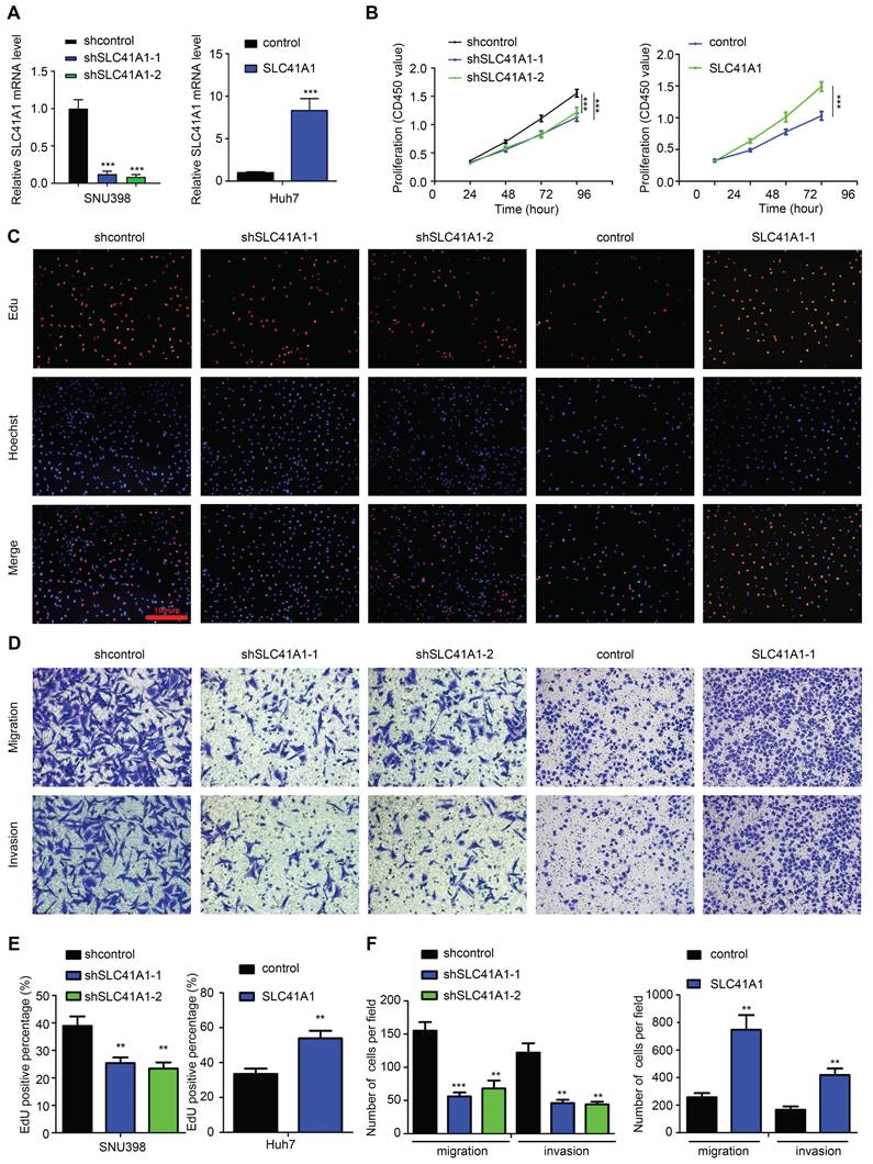 Int J Med Sci Image