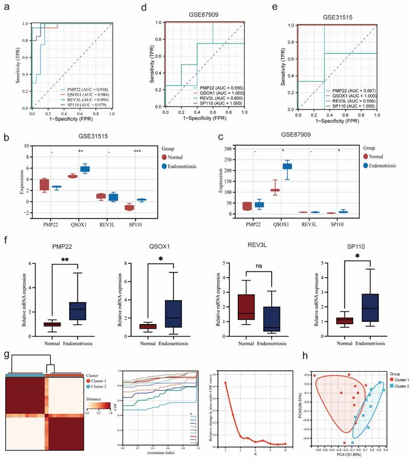 Int J Med Sci Image