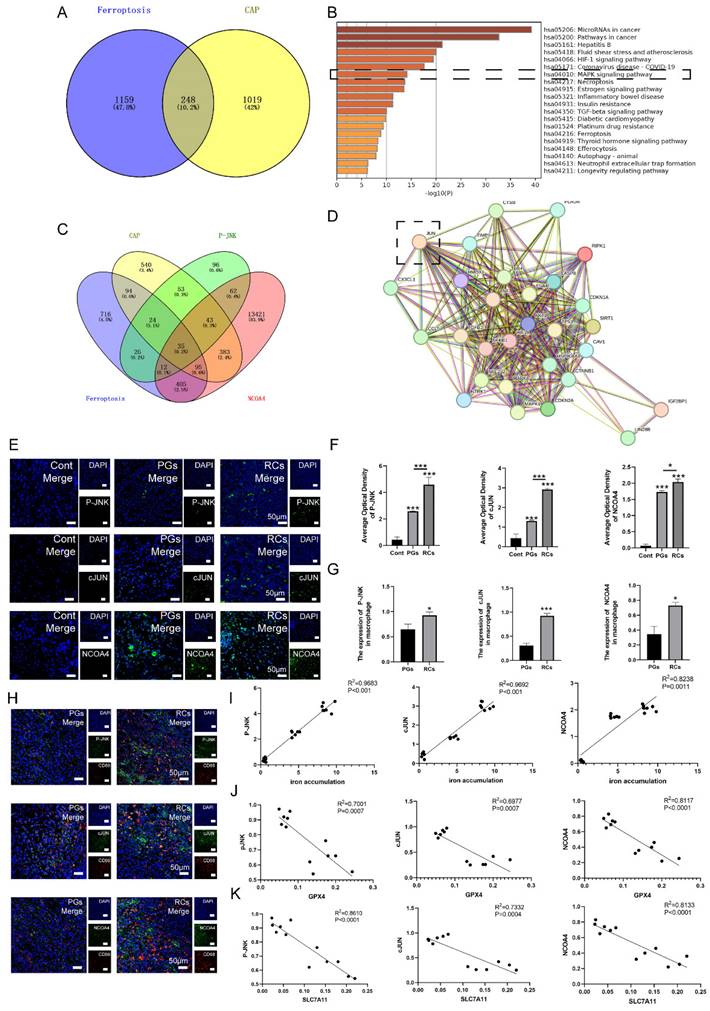 Int J Med Sci Image