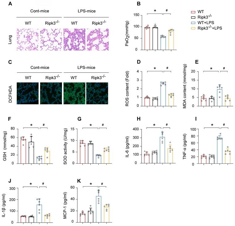 Int J Med Sci Image